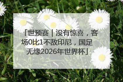 世预赛｜没有惊喜，客场0比1不敌印尼，国足无缘2026年世界杯
