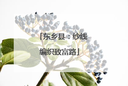 东乡县：纱线编织致富路
