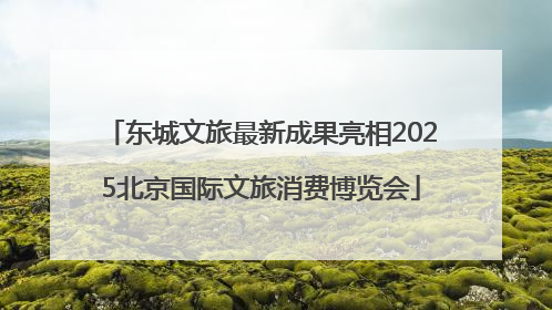 东城文旅最新成果亮相2025北京国际文旅消费博览会