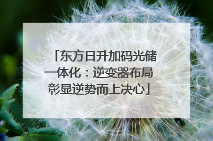东方日升加码光储一体化：逆变器布局彰显逆势而上决心