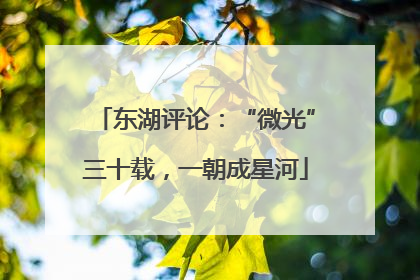 东湖评论：“微光”三十载，一朝成星河