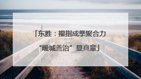 东胜：攥指成拳聚合力 “暖城善治”显真章