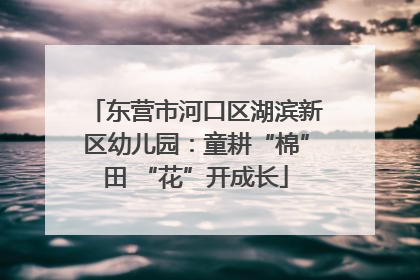 东营市河口区湖滨新区幼儿园：童耕“棉”田 “花”开成长