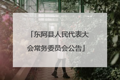 东阿县人民代表大会常务委员会公告
