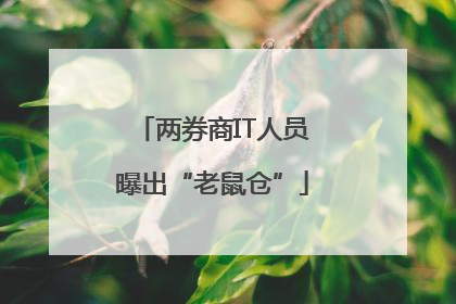 两券商IT人员曝出“老鼠仓”