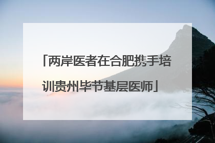 两岸医者在合肥携手培训贵州毕节基层医师
