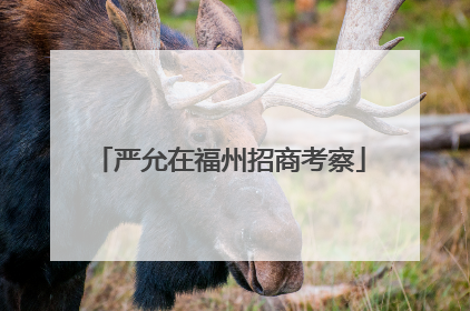 严允在福州招商考察