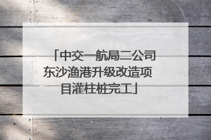 中交一航局二公司东沙渔港升级改造项目灌柱桩完工