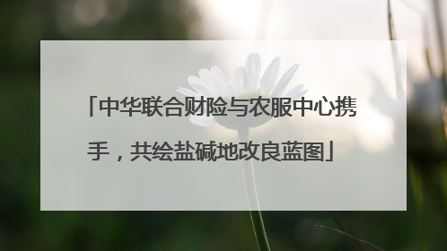 中华联合财险与农服中心携手，共绘盐碱地改良蓝图