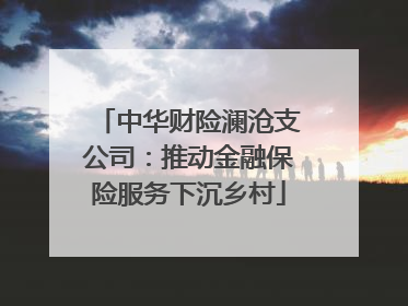 中华财险澜沧支公司：推动金融保险服务下沉乡村