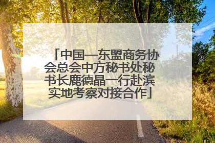 中国—东盟商务协会总会中方秘书处秘书长鹿德晶一行赴滨实地考察对接合作