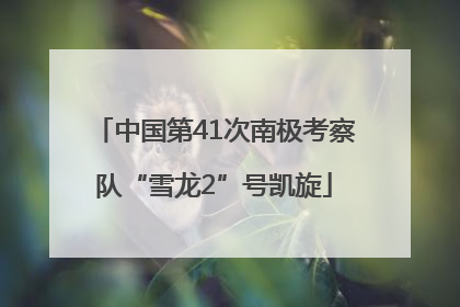中国第41次南极考察队“雪龙2”号凯旋