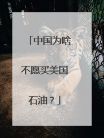 中国为啥不愿买美国石油？