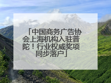 中国商务广告协会上海机构入驻普陀！行业权威奖项同步落户
