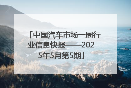 中国汽车市场一周行业信息快报——2025年5月第5期