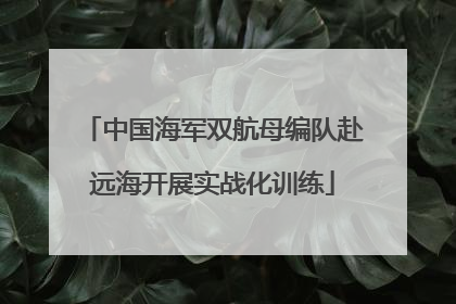 中国海军双航母编队赴远海开展实战化训练