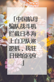 中国航母编队战斗机拦截日本海上自卫队巡逻机，我驻日使馆回应