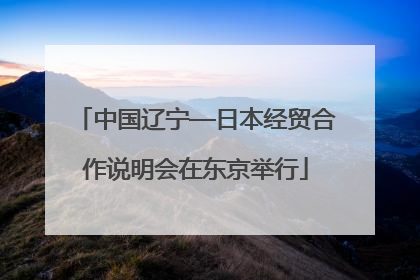 中国辽宁—日本经贸合作说明会在东京举行