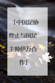 中国足协终止与国足主帅伊万合作