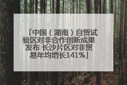 中国（湖南）自贸试验区对非合作创新成果发布 长沙片区对非贸易年均增长141%