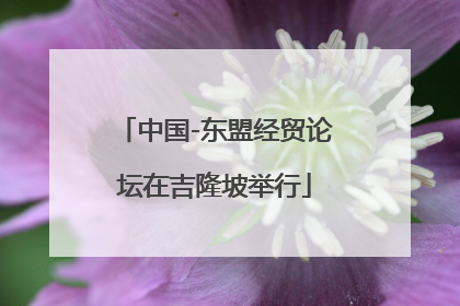 中国-东盟经贸论坛在吉隆坡举行