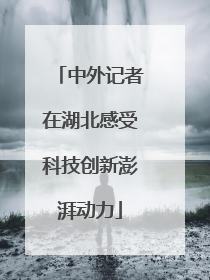 中外记者在湖北感受科技创新澎湃动力