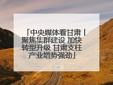 中央媒体看甘肃丨聚焦集群建设 加快转型升级 甘肃支柱产业增势强劲