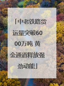 中老铁路货运量突破6000万吨 黄金通道释放强劲动能