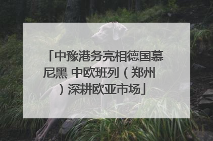 中豫港务亮相德国慕尼黑 中欧班列（郑州）深耕欧亚市场