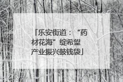 乐安街道：“药材花海”绽希望 产业振兴鼓钱袋