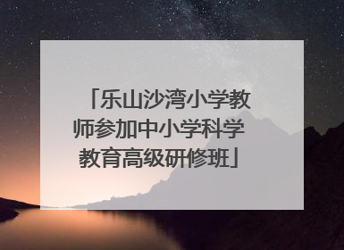 乐山沙湾小学教师参加中小学科学教育高级研修班