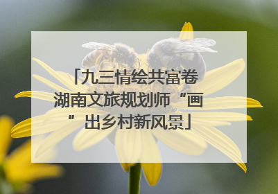 九三情绘共富卷 湖南文旅规划师“画”出乡村新风景