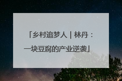 乡村追梦人｜林丹：一块豆腐的产业逆袭