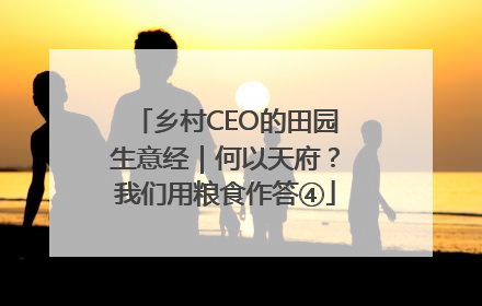 乡村CEO的田园生意经｜何以天府？我们用粮食作答④