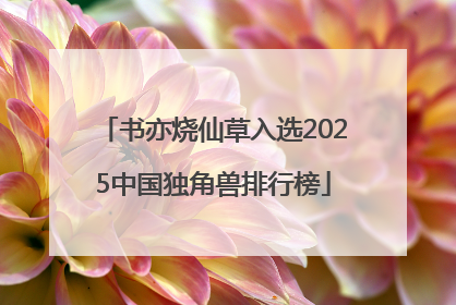 书亦烧仙草入选2025中国独角兽排行榜
