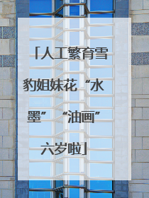 人工繁育雪豹姐妹花“水墨”“油画”六岁啦
