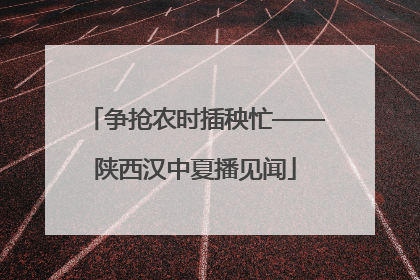 争抢农时插秧忙——陕西汉中夏播见闻