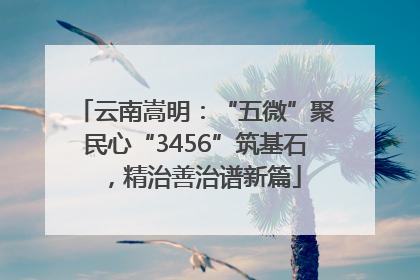 云南嵩明：“五微”聚民心“3456”筑基石，精治善治谱新篇