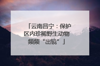 云南昌宁：保护区内珍稀野生动物频频“出镜”