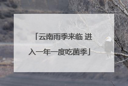 云南雨季来临 进入一年一度吃菌季