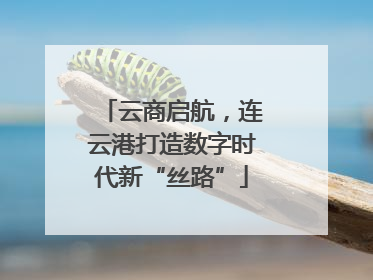云商启航，连云港打造数字时代新“丝路”