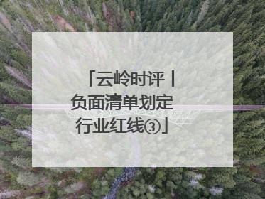 云岭时评丨负面清单划定行业红线③