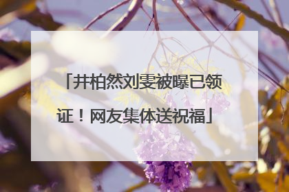 井柏然刘雯被曝已领证！网友集体送祝福