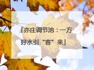 亦庄调节池：一方好水引“客”来