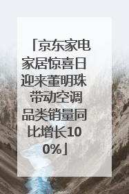 京东家电家居惊喜日迎来董明珠 带动空调品类销量同比增长100%