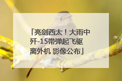 亮剑西太！大雨中歼-15带弹起飞驱离外机 影像公布