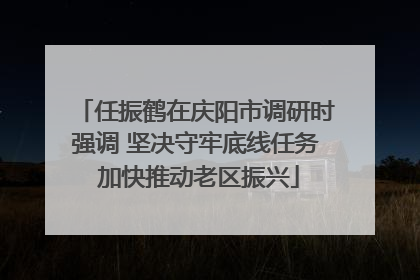 任振鹤在庆阳市调研时强调 坚决守牢底线任务 加快推动老区振兴