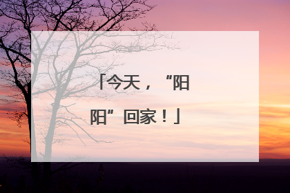 今天，“阳阳”回家！