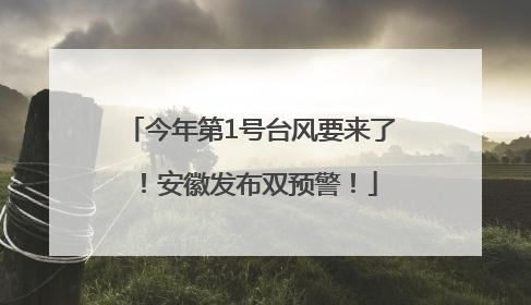 今年第1号台风要来了！安徽发布双预警！