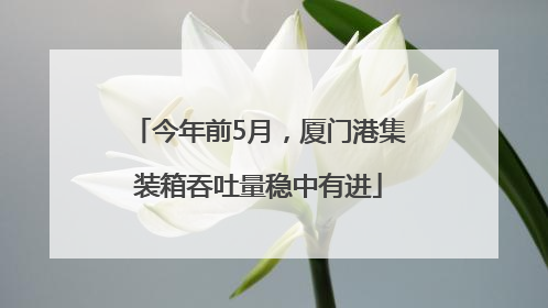 今年前5月，厦门港集装箱吞吐量稳中有进